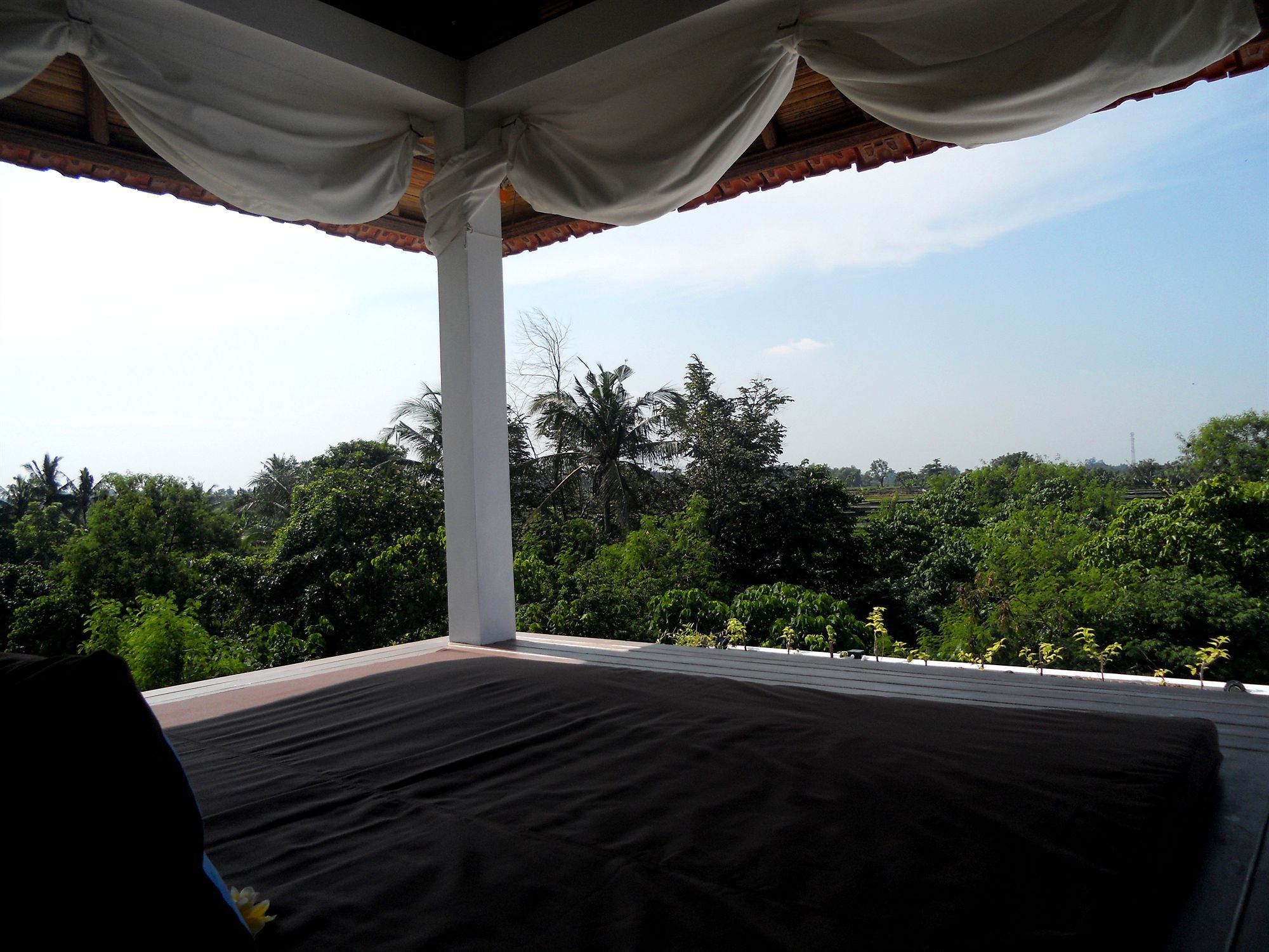 D'sawah Umalas Canggu (Bali)