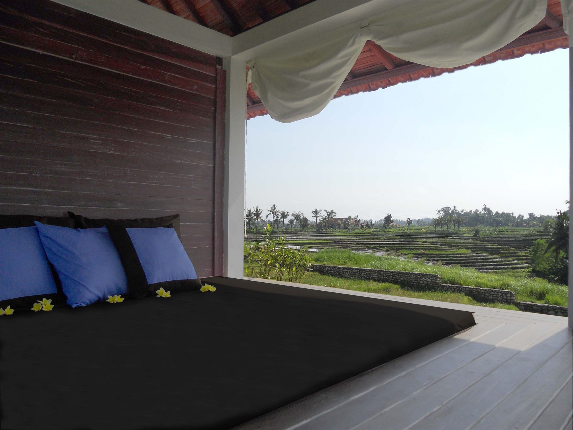 D'sawah Umalas * Canggu (Bali)
